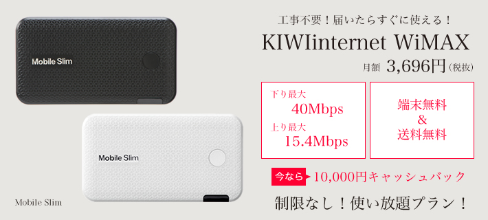 KIWIintenet WiMAX